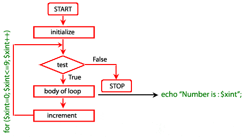 While Loop Program In Unix File