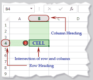 cell