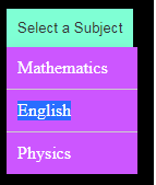 JavaScript Dropdown menu - Interactive program.