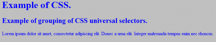 example simple css universal selector