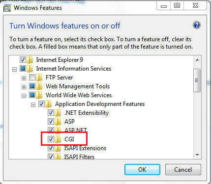 IIS CGI Configuration