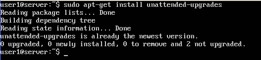 install-unattended-upgrades