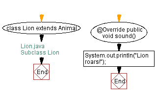 Flowchart: Subclass Lion