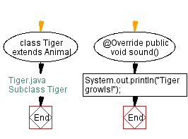 Flowchart: Subclass Tiger