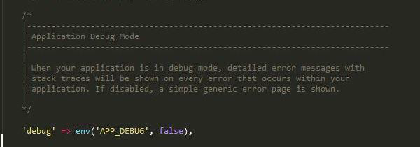 Laravel Application Debug Mode.