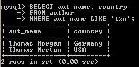 MySQL LIKE EXAMPLE4