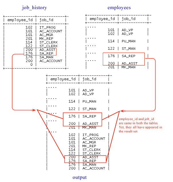 mysql union operator image