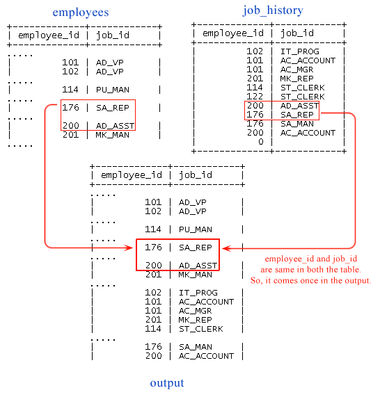 mysql union operator image