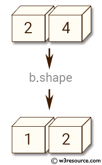 NumPy manipulation: expand_dims() function