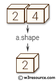 NumPy manipulation: expand_dims() function