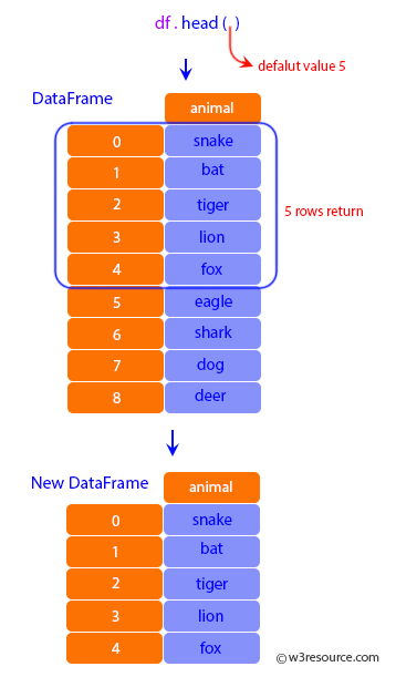 Pandas: DataFrame - Viewing the first 5 lines.