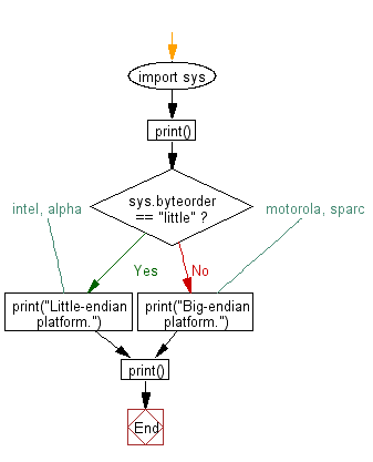 Flowchart: Test whether the system is a big-endian platform or little-endian platform.