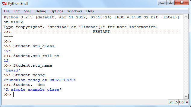 Python class attribute example