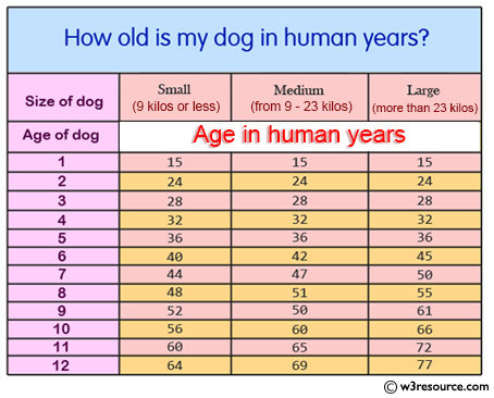 Cat Years Calculation Chart