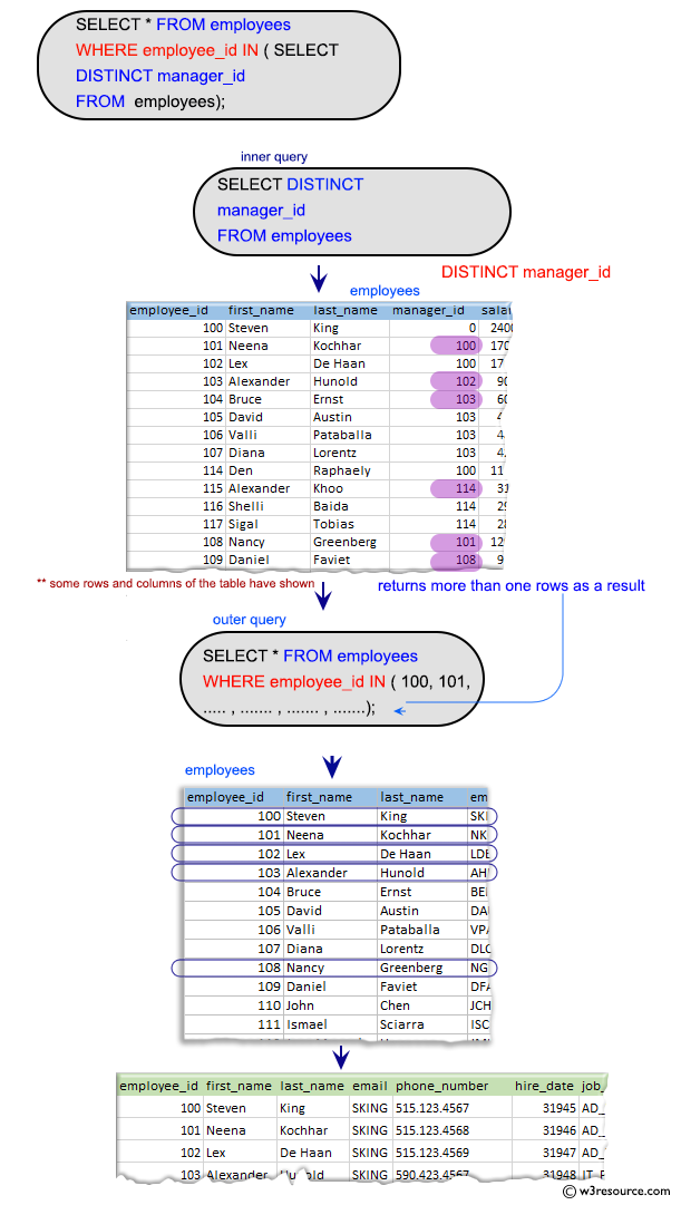 SQL Subqueries: Write a query to get the details of employees who are managers.