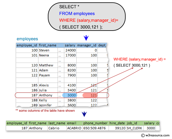 SQL Subqueries: Display all the information of an employee whose salary and reporting person id is 3000 and 121 respectively