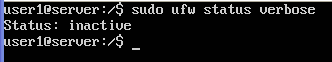 ufw-status-verbose