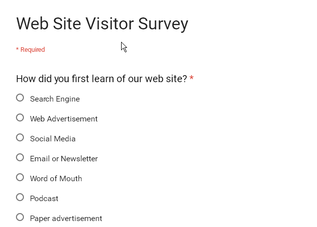 Web Site Visitor survey